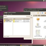 Ubuntu_10_04-Beta2