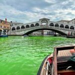 befunky_2025-10-3_16-46-41