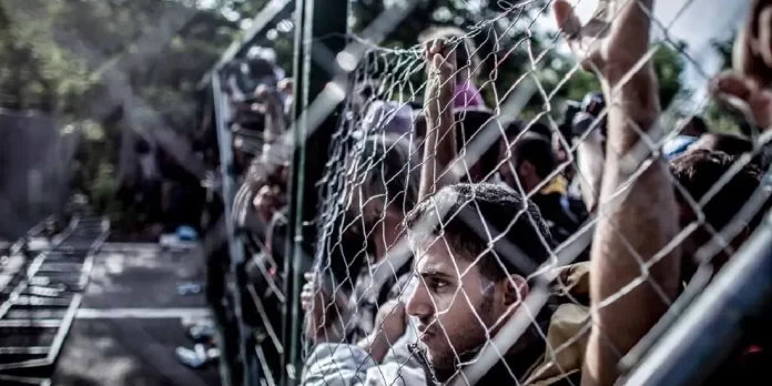Man pressed against a chain-link fence as a crowd lines up behind him.